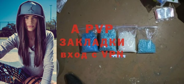 индика Лихославль