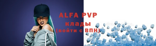 индика Лихославль