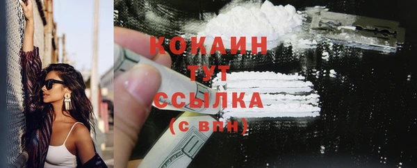 индика Лихославль
