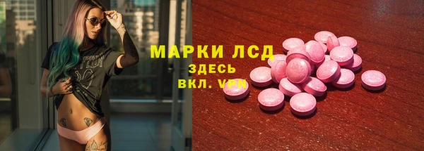 индика Лихославль