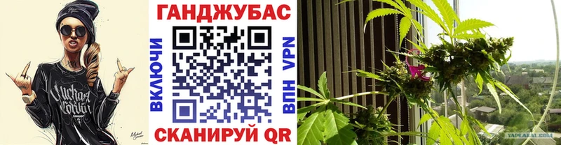 МАРИХУАНА сатива наркотики Няндома